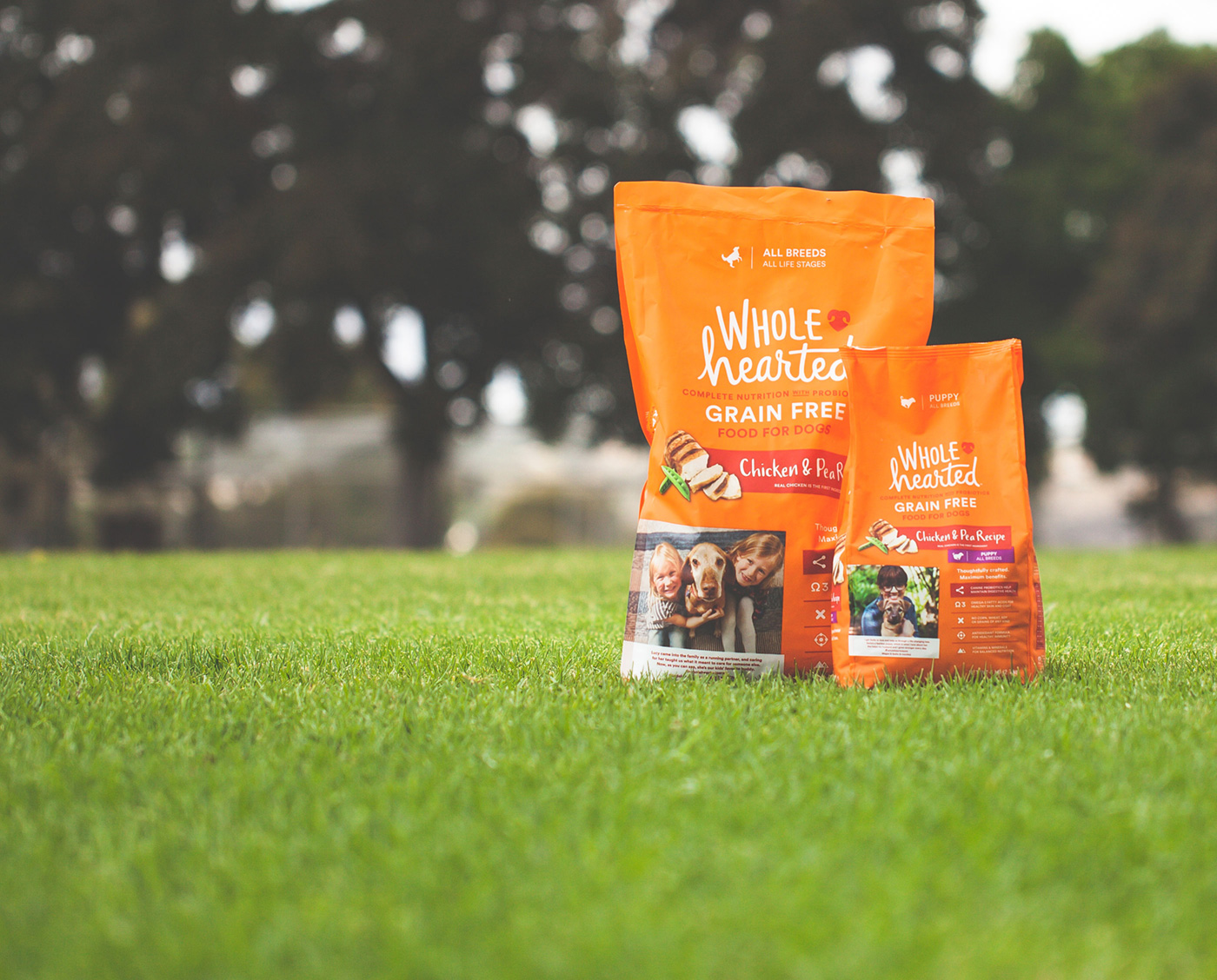 WholeHearted Pet Food Packaging Line